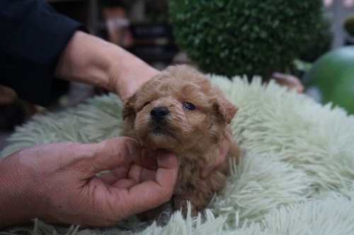 ~bNX̎qiID:1231011813j4ڂ̎ʐ^/XV:2025-11-07