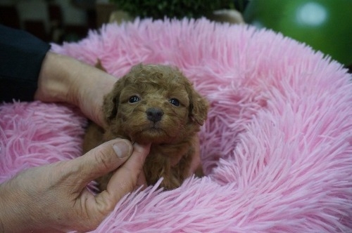 ~bNX̎qiID:1231011815j2ڂ̎ʐ^/XV:2025-11-07