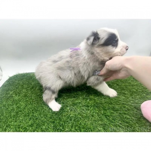 {[_[R[̎qiID:1232311367j4ڂ̎ʐ^/XV:2025-11-19