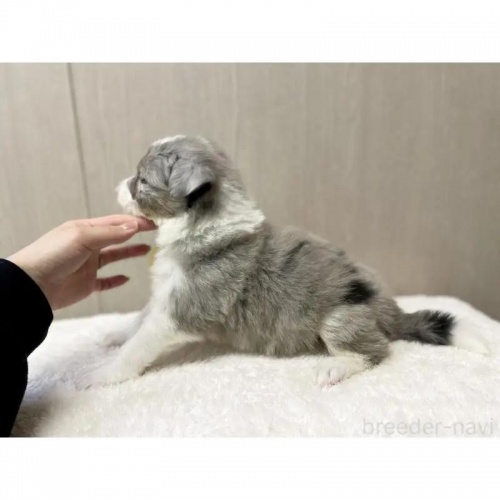 {[_[R[̎qiID:1232311368j2ڂ̎ʐ^/XV:2025-11-19