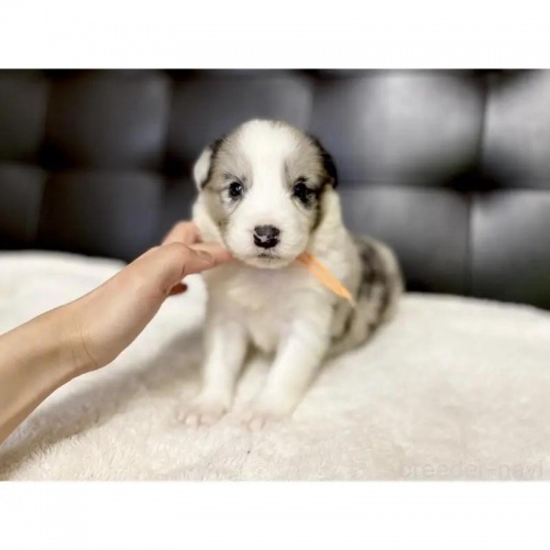 {[_[R[̎qiID:1232311369j2ڂ̎ʐ^/XV:2025-11-19