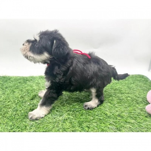 ~j`AViEU[̎qiID:1232311372j2ڂ̎ʐ^/XV:2025-11-19