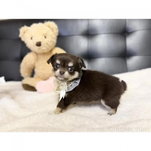 `iOj̎qiID:1232311373j4ڂ̎ʐ^/XV:2025-11-19