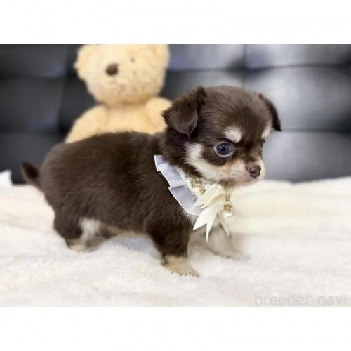 `iOj̎qiID:1232311373j5ڂ̎ʐ^/XV:2025-11-19