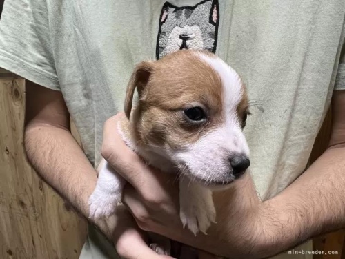 WbNbZeA̎qiID:1233911023j3ڂ̎ʐ^/XV:2025-11-19