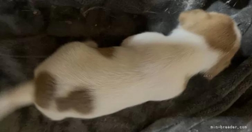 WbNbZeA̎qiID:1233911023j4ڂ̎ʐ^/XV:2025-11-19