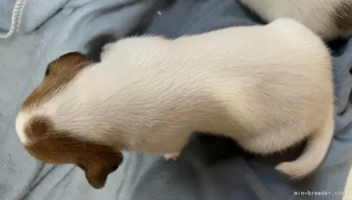 WbNbZeA̎qiID:1233911025j4ڂ̎ʐ^/XV:2025-11-19