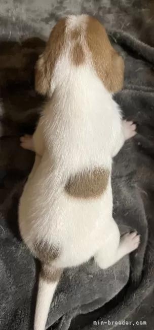 WbNbZeA̎qiID:1233911030j5ڂ̎ʐ^/XV:2025-11-19