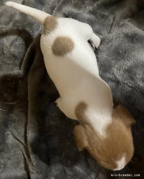 WbNbZeA̎qiID:1233911033j4ڂ̎ʐ^/XV:2025-11-19