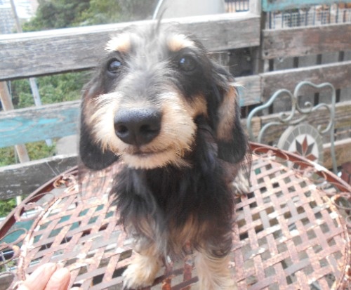 ~bNX̎qiID:1238911230j1ڂ̎ʐ^/XV:2025-10-28