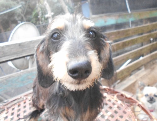 ~bNX̎qiID:1238911230j2ڂ̎ʐ^/XV:2025-10-28