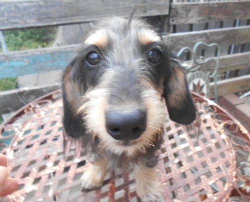 ~bNX̎qiID:1238911230j3ڂ̎ʐ^/XV:2025-10-28