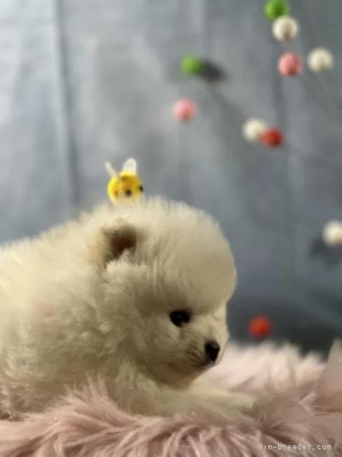 �|�����j�A���̎q���iID:1241111046�j��3���ڂ̎ʐ^/�X�V��:2026-01-13