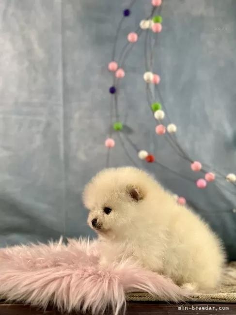 �|�����j�A���̎q���iID:1241111047�j��3���ڂ̎ʐ^/�X�V��:2026-01-13