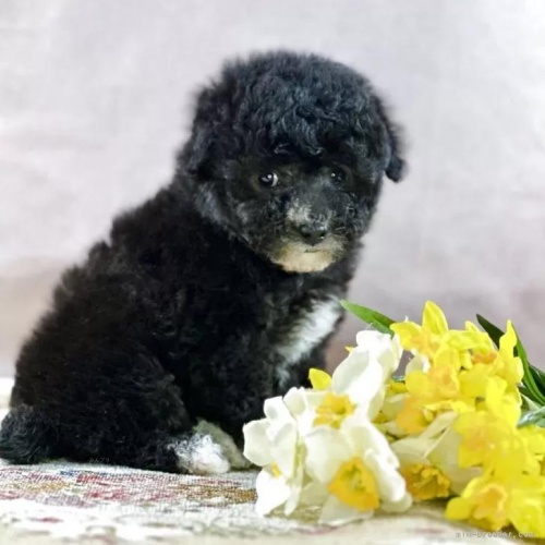 �g�C�v�[�h���̎q���iID:1241111048�j��2���ڂ̎ʐ^/�X�V��:2026-01-13