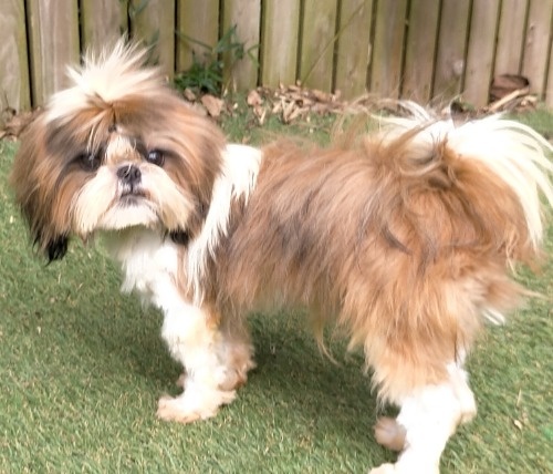 V[Y[̎qiID:1245211095j7ڂ̎ʐ^/XV:2025-10-28