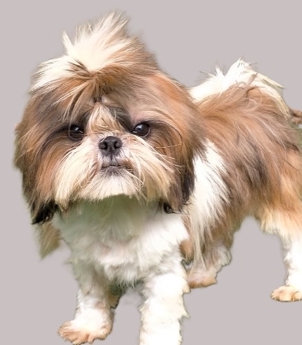 V[Y[̎qiID:1245211095j8ڂ̎ʐ^/XV:2025-10-28