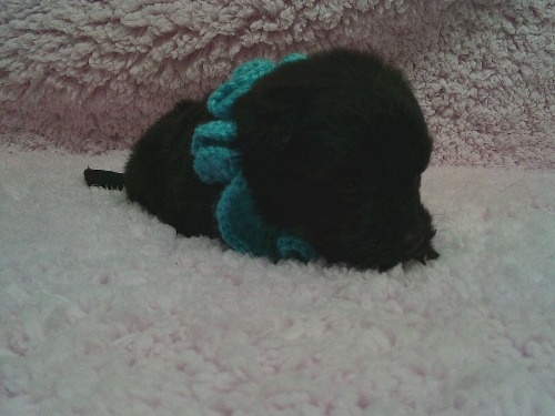 �~�b�N�X�̎q���iID:1246611507�j��2���ڂ̎ʐ^/�X�V��:2026-01-30