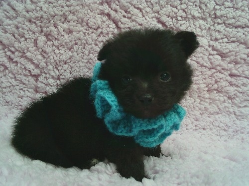 �~�b�N�X�̎q���iID:1246611514�j��2���ڂ̎ʐ^/�X�V��:2026-02-21