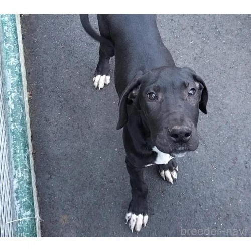 O[gf̎qiID:1248811293j1ڂ̎ʐ^/XV:2025-11-19