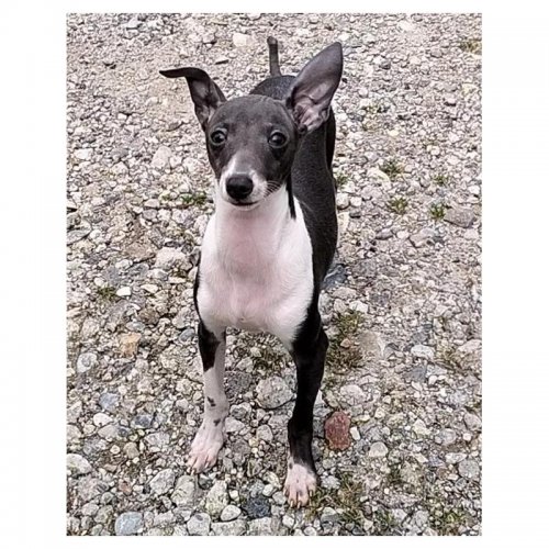 �C�^���A���O���[�n�E���h�̎q���iID:1248811298�j��3���ڂ̎ʐ^/�X�V��:2026-05-25