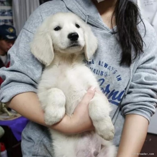 S[fgo[̎qiID:1252511090j4ڂ̎ʐ^/XV:2025-11-21