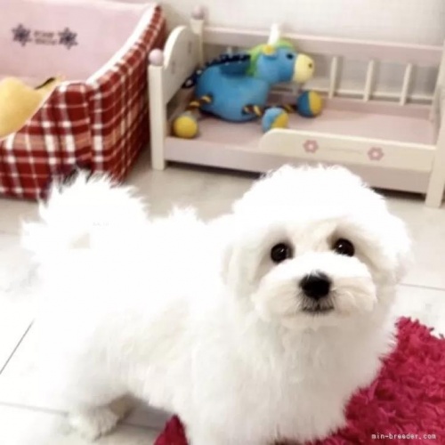 �r�V�����t���[�[�̎q���iID:1253511082�j��2���ڂ̎ʐ^/�X�V��:2026-05-27