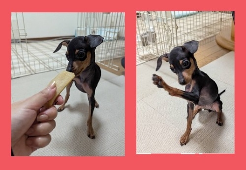 ~j`AsV[̎qiID:1255111095j2ڂ̎ʐ^/XV:2025-11-30