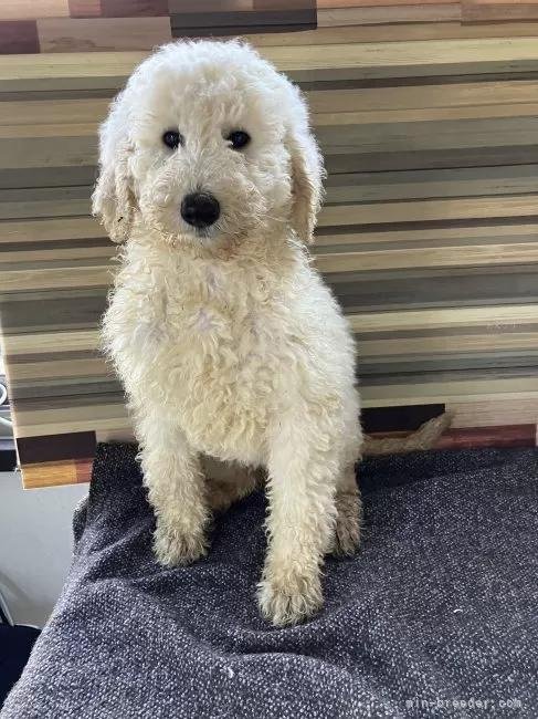 �X�^���_�[�h�v�[�h���̎q���iID:1255211078�j��2���ڂ̎ʐ^/�X�V��:2026-01-16