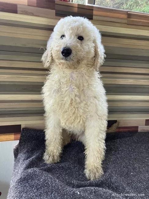 �X�^���_�[�h�v�[�h���̎q���iID:1255211078�j��3���ڂ̎ʐ^/�X�V��:2026-01-16