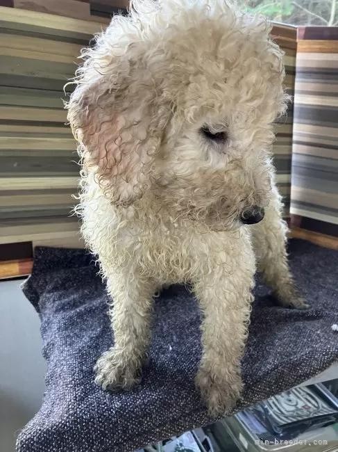 �X�^���_�[�h�v�[�h���̎q���iID:1255211078�j��5���ڂ̎ʐ^/�X�V��:2026-01-16