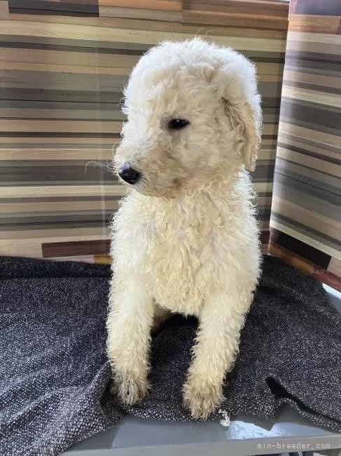 �X�^���_�[�h�v�[�h���̎q���iID:1255211079�j��2���ڂ̎ʐ^/�X�V��:2026-01-16