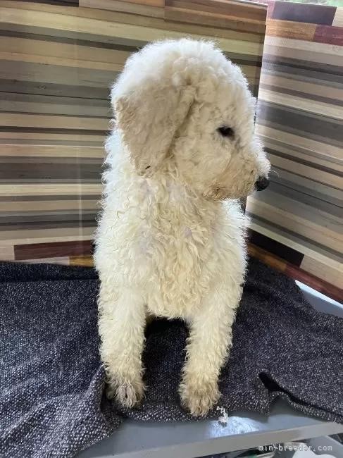 �X�^���_�[�h�v�[�h���̎q���iID:1255211079�j��3���ڂ̎ʐ^/�X�V��:2026-01-16