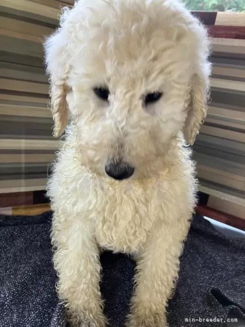 �X�^���_�[�h�v�[�h���̎q���iID:1255211079�j��4���ڂ̎ʐ^/�X�V��:2026-01-16