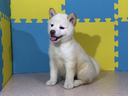 �Č��̎q���iID:1262511072�j��2���ڂ̎ʐ^/�X�V��:2016-08-05