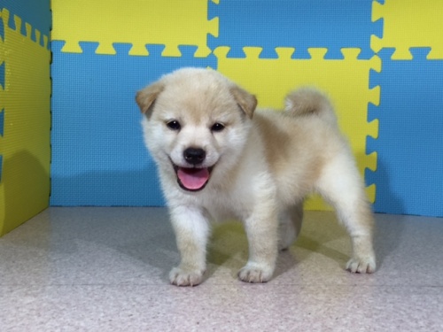 �Č��̎q���iID:1262511079�j��3���ڂ̎ʐ^/�X�V��:2016-08-09