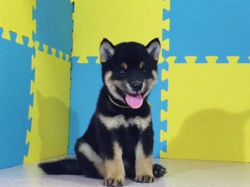 �Č��̎q���iID:1262511089�j��3���ڂ̎ʐ^/�X�V��:2016-08-24