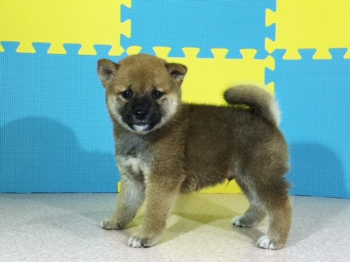 �Č��̎q���iID:1262511098�j��2���ڂ̎ʐ^/�X�V��:2016-08-18