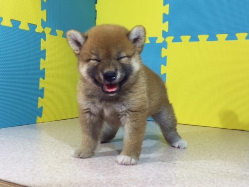 �Č��̎q���iID:1262511109�j��2���ڂ̎ʐ^/�X�V��:2016-08-26