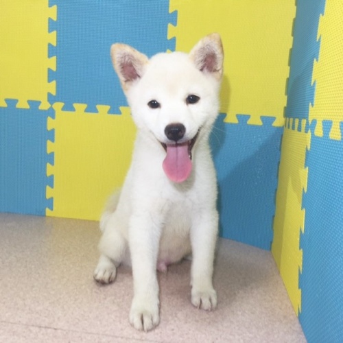 �Č��̎q���iID:1262511149�j��2���ڂ̎ʐ^/�X�V��:2016-10-21