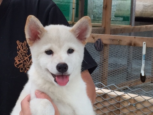 �Č��̎q���iID:1262511150�j��1���ڂ̎ʐ^/�X�V��:2016-09-30