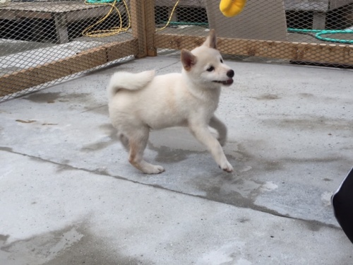 �Č��̎q���iID:1262511150�j��2���ڂ̎ʐ^/�X�V��:2016-09-30