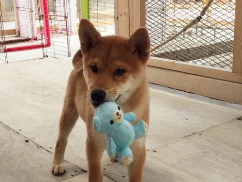 �Č��̎q���iID:1262511151�j��2���ڂ̎ʐ^/�X�V��:2016-09-30