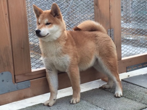 �Č��̎q���iID:1262511168�j��2���ڂ̎ʐ^/�X�V��:2016-12-24