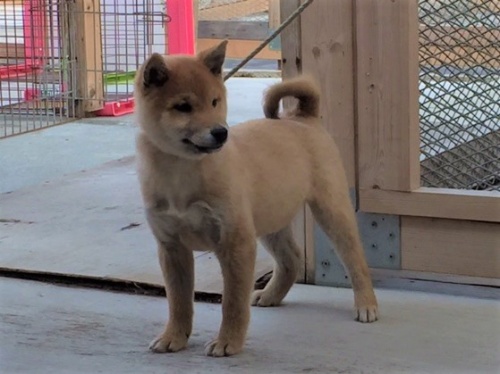 �Č��̎q���iID:1262511169�j��3���ڂ̎ʐ^/�X�V��:2016-12-21