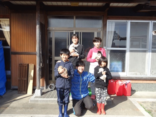 ヨークシャーテリアの子犬(ID:1262512765)の4枚目の写真/更新日:2026-10-12