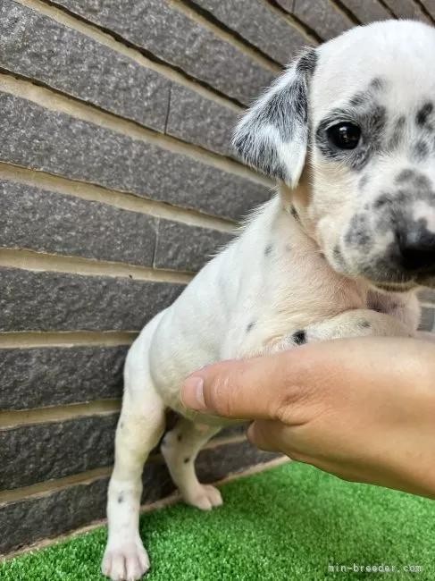 _VA̎qiID:1262711005j5ڂ̎ʐ^/XV:2025-11-19