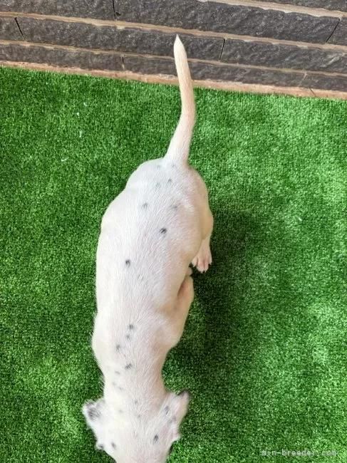 _VA̎qiID:1262711005j6ڂ̎ʐ^/XV:2025-11-19