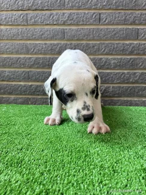 _VA̎qiID:1262711010j3ڂ̎ʐ^/XV:2025-11-19