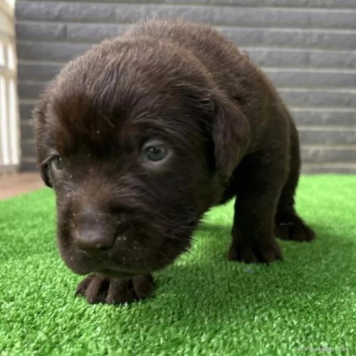 uh[go[̎qiID:1262711111j1ڂ̎ʐ^/XV:2025-11-19